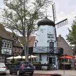 DSC_0078_01 (August 23, 2020)